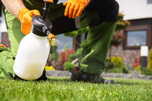 Best Affordable Pest Control Services  in Senoia, GA