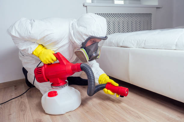 Best Best Pest Control Companies  in Senoia, GA