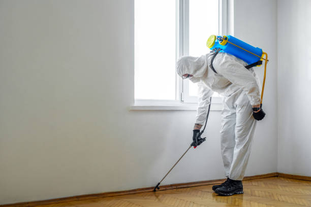 Best Rat Extermination Near Me  in Senoia, GA